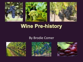 Wine Pre-history By Brodie Comer 