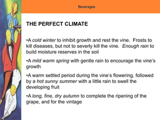 Beverages
THE PERFECT CLIMATE
•A cold winter to inhibit growth and rest the vine. Frosts to
kill diseases, but not to severly kill the vine. Enough rain to
build moisture reserves in the soil
•A mild warm spring with gentle rain to encourage the vine‘s
growth
•A warm settled period during the vine‘s flowering, followed
by a hot sunny summer with a little rain to swell the
developing fruit
•A long, fine, dry autumn to complete the ripening of the
grape, and for the vintage
 