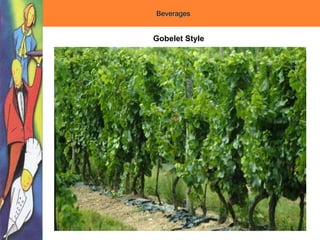 Beverages
Gobelet Style
 