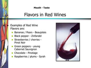 Flavors in Red Wines
 Examples of Red Wine
Flavors are:
 Bananas / Pears - Beaujolais
 Black pepper - Zinfandel
 Strawberries / cherries -
Pinot Noir
 Green peppers - young
Cabernet Sauvignon
 Chocolate - Pinotage
 Raspberries / plums - Syrah
Mouth - Taste
 