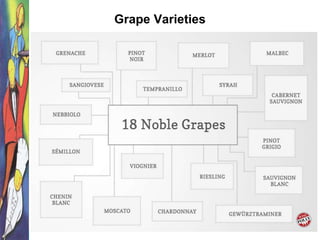 Grape Varieties
 