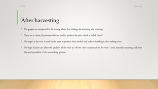 After harvesting
• The grapes are transported to the winery where they undergo de stemming and crushing.
• There are a variety of processes that are used to produce the juice, which is called "must".
• The sugar in the wine is used by the yeast to produce ethyl alcohol and carbon dioxide gas, thus making wine.
• The type of yeast can affect the qualities of the wine as will the other compounds in the wine - some naturally occurring and some
that are byproducts of the winemaking process.
25-08-2020Dr.SS
 