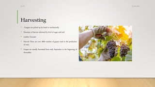 Harvesting
• Grappes are picked up by hand or mechanically
• Descision of harvest informed by level of sugar and acid
• weather forecasts
• Harvest There are over 4000 varieties of grapes used in the production
of wine.
• Grapes are usually harvested from early September to the beginning of
November.
25-08-2020Dr.SS
 