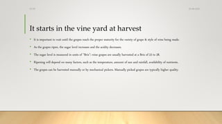 It starts in the vine yard at harvest
• It is important to wait until the grapes reach the proper maturity for the variety of grape & style of wine being made.
• As the grapes ripen, the sugar level increases and the acidity decreases.
• The sugar level is measured in units of "Brix"; wine grapes are usually harvested at a Brix of 22 to 28.
• Ripening will depend on many factors, such as the temperature, amount of sun and rainfall, availability of nutrients.
• The grapes can be harvested manually or by mechanical pickers. Manually picked grapes are typically higher quality.
25-08-2020Dr.SS
 