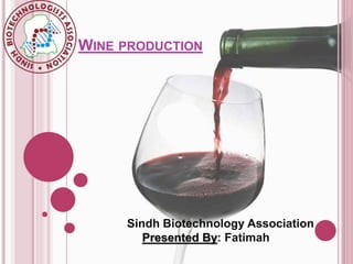 WINE PRODUCTION
Sindh Biotechnology Association
Presented By: Fatimah
 