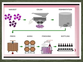 wine production (large scale production).pptx