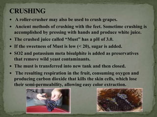  A roller-crusher may also be used to crush grapes.
 Ancient methods of crushing with the feet. Sometime crushing is
accomplished by pressing with hands and produce white juice.
 The crushed juice called “Must” has a pH of 3.0.
 If the sweetness of Must is low (< 20), sugar is added.
 SO2 and potassium meta bisulphite is added as preservatives
that remove wild yeast contaminants.
 The must is transferred into new tank and then closed.
 The resulting respiration in the fruit, consuming oxygen and
producing carbon dioxide that kills the skin cells, which lose
their semi-permeability, allowing easy color extraction.
 