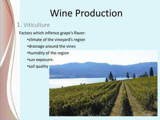Wine Production
1. Viticulture
Factors which inflence grape’s flavor:
•climate of the vineyard’s region
•drainage around the vines
•humidity of the region
•sun exposure.
•soil quality
 