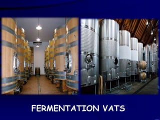 FERMENTATION VATS
 