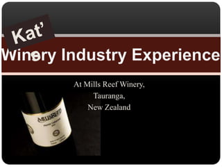 At Mills Reef Winery,,[object Object],Tauranga,,[object Object],New Zealand,[object Object],Kat’s,[object Object],Winery Industry Experience,[object Object]