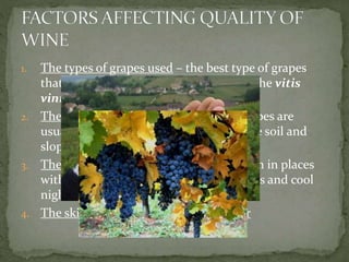 1. The types of grapes used – the best type of grapes
that produces excellent quality wines is the vitis
vinifera
2. The type of soil/location – old world grapes are
usually planted in chalky, sandy and lime soil and
slopes
3. The climate – vitis vinifera are best grown in places
with temperate climate, warm sunny days and cool
nights
4. The skill/knowledge of the wine maker
 