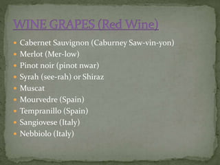  Cabernet Sauvignon (Caburney Saw-vin-yon)
 Merlot (Mer-low)
 Pinot noir (pinot nwar)
 Syrah (see-rah) or Shiraz
 Muscat
 Mourvedre (Spain)
 Tempranillo (Spain)
 Sangiovese (Italy)
 Nebbiolo (Italy)
 