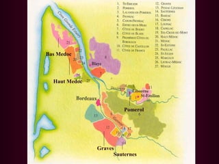 Pomerol 
Bas Medoc 
Haut Medoc 
Graves 
Sauternes 
 