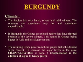 BURGUNDY 
Climate : 
• The Region has very harsh, severe and mild winters. The 
summers are sometimes very hot and sometimes 
unpredictable. 
• In Burgundy the Grapes are picked before they have ripened 
because of the severe winters. This results in Grapes being 
higher in Acid and less Sugar content. 
• The resulting Grape juice from these grapes lacks the desired 
sugar content. To increase the sugar levels in the juice 
CHAPTALISATION is done. ( Chaptalisation is the 
addition of sugar to Grape juice). 
 