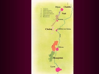 Chablis 
Nuit 
Chalon 
Beaujolais 
 