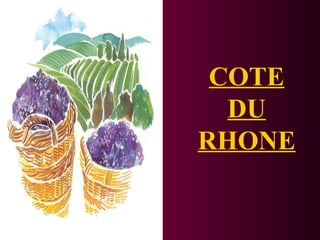 COTE 
DU 
RHONE 
 
