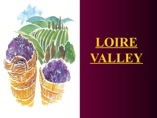 LOIRE 
VALLEY 
 