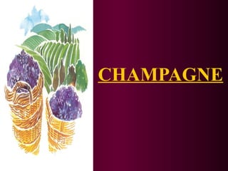 CHAMPAGNE 
 