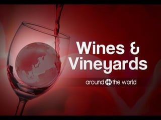Wines Around The World