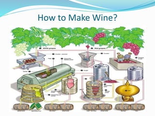 How to Make Wine?
 