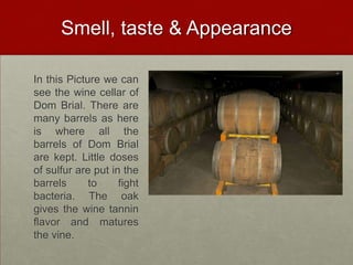 Smell, taste & Appearance

In this Picture we can
see the wine cellar of
Dom Brial. There are
many barrels as here
is where all the
barrels of Dom Brial
are kept. Little doses
of sulfur are put in the
barrels      to     fight
bacteria. The oak
gives the wine tannin
flavor and matures
the vine.
 