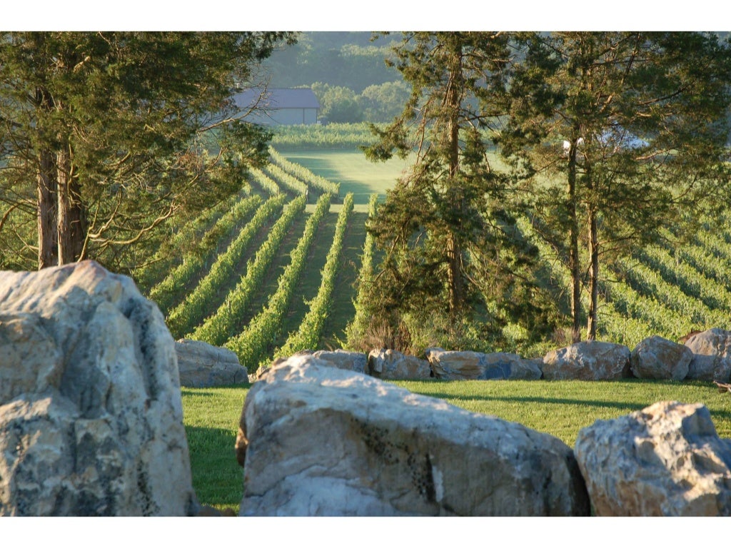 Wine Tours at Top New Jersey Vineyards