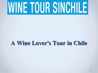 A Wine Lover's Tour in Chile
 
