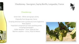 Chardonnay - Sauvignon, Cap by Bonfils, Languedoc, France
Chardonnay
Green Skin - White wine grape variety
Originally from Burgundy, France
Growing wherever wine is produced, from England to
New Zealand
Important component of many sparkling wines
including Champagne
Colder weather – Plum, Apple & Pear
Warmer weather – Citrus, Peach & Melon
 