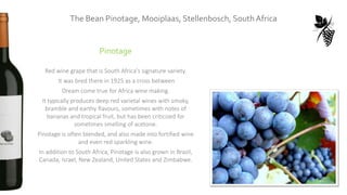 Pinotage
Red wine grape that is South Africa's signature variety.
It was bred there in 1925 as a cross between
Dream come true for Africa wine making.
It typically produces deep red varietal wines with smoky,
bramble and earthy flavours, sometimes with notes of
bananas and tropical fruit, but has been criticized for
sometimes smelling of acetone.
Pinotage is often blended, and also made into fortified wine
and even red sparkling wine.
In addition to South Africa, Pinotage is also grown in Brazil,
Canada, Israel, New Zealand, United States and Zimbabwe.
The Bean Pinotage, Mooiplaas, Stellenbosch, South Africa
 