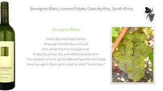 Sauvignon Blanc, Lomond Estate, Cape Agulhas, South Africa
Sauvignon Blanc
Green-Skinned Grape Variety
Originally from Bordeaux, France
One of the first French grapes ever
Producing a crisp, dry, and refreshing white wine
The character of wine can be different based on the origin
Some Sauvignon Blanc wine could be called “Fume Blanc”
 