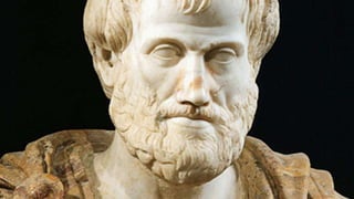 @crestodina
 