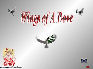Wings of A Dove [email_address] 