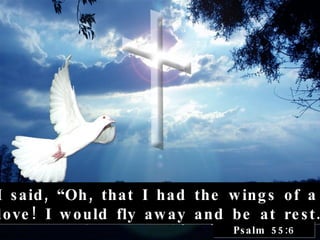 I said, “Oh, that I had the wings of a  dove! I would fly away and be at rest.” Psalm 55:6 