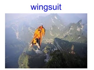 wingsuit
 