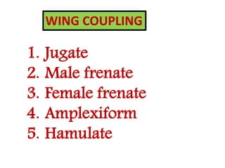 WING TYPES AND VENATION SSNAIK | PPTX