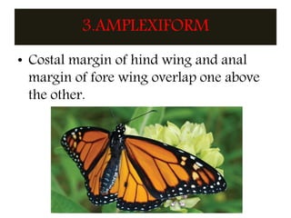 WING TYPES AND VENATION SSNAIK | PPTX