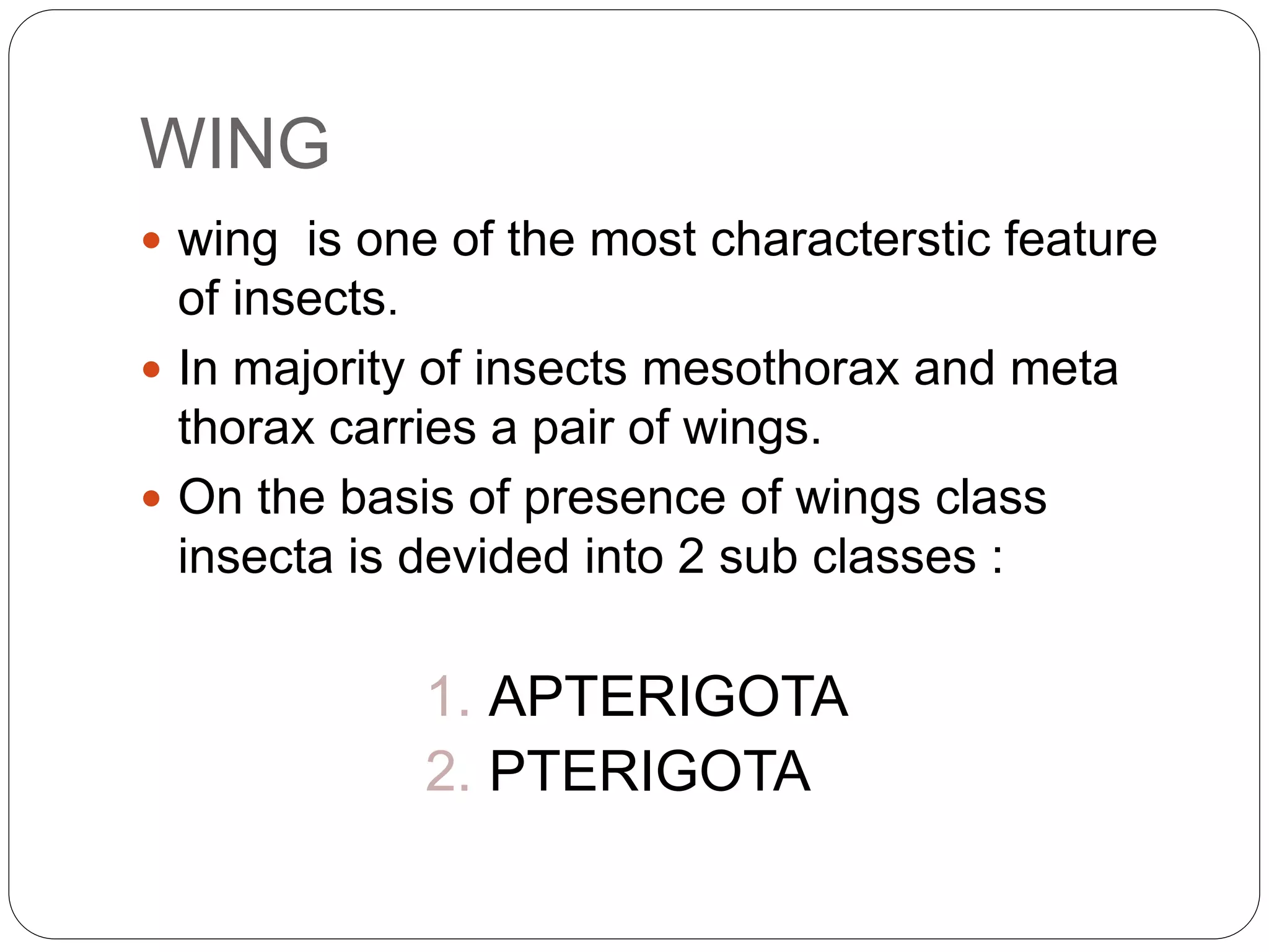 Vation Insect WING VENATION IN INSECTS | PPTX