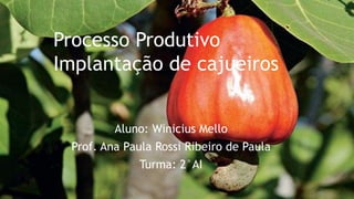 Processo Produtivo
Implantação de cajueiros
Aluno: Winicius Mello
Prof. Ana Paula Rossi Ribeiro de Paula
Turma: 2°AI
 