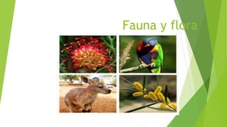 Fauna y flora
 