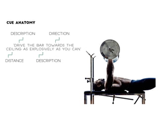 Cue Anatomy
“Drive the bar towards the
ceiling as explosively as you can”
Description Direction
Distance Description
 