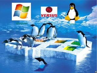 Windows Linux 