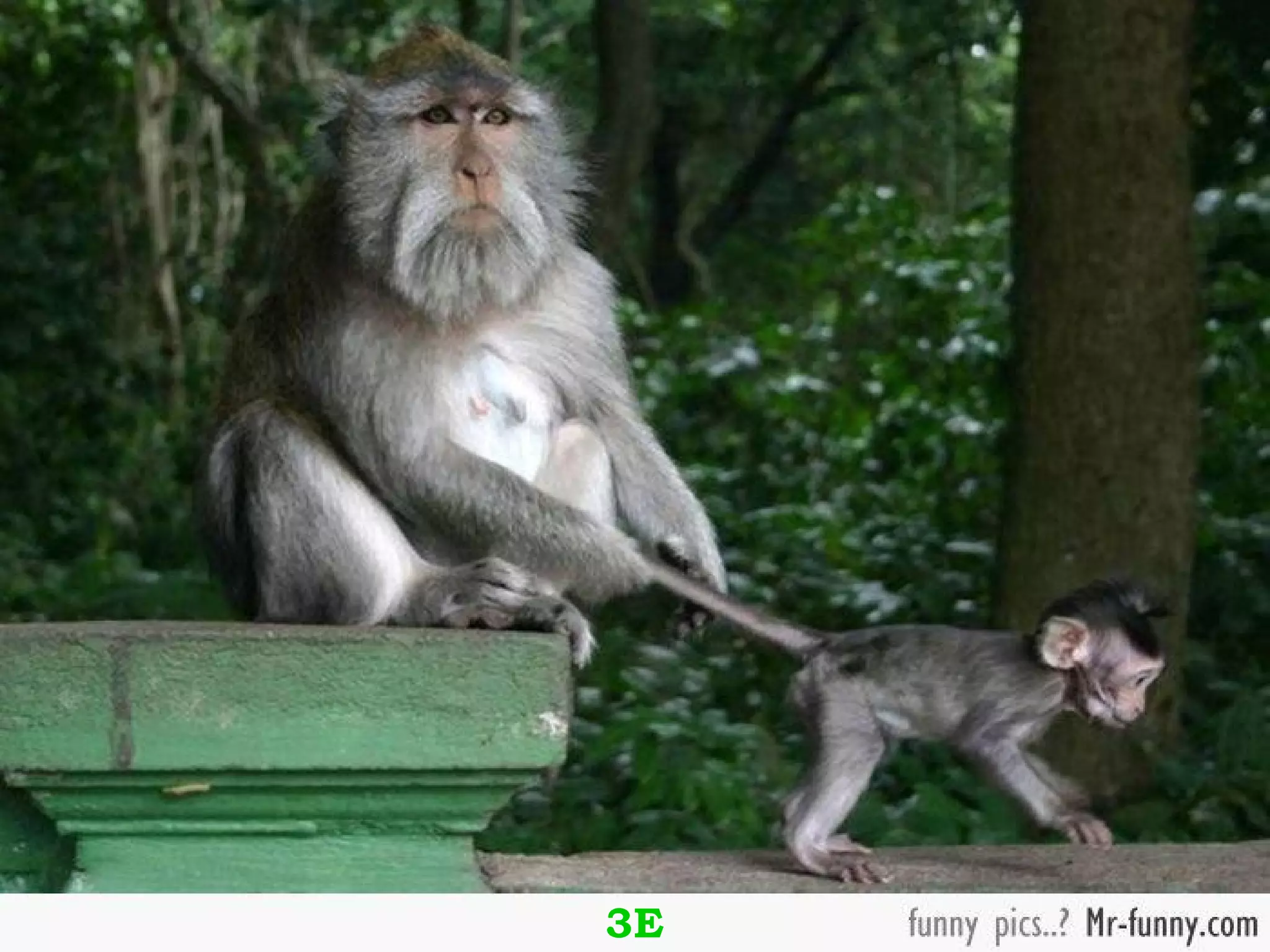 Attitude is everything….




          3E
 