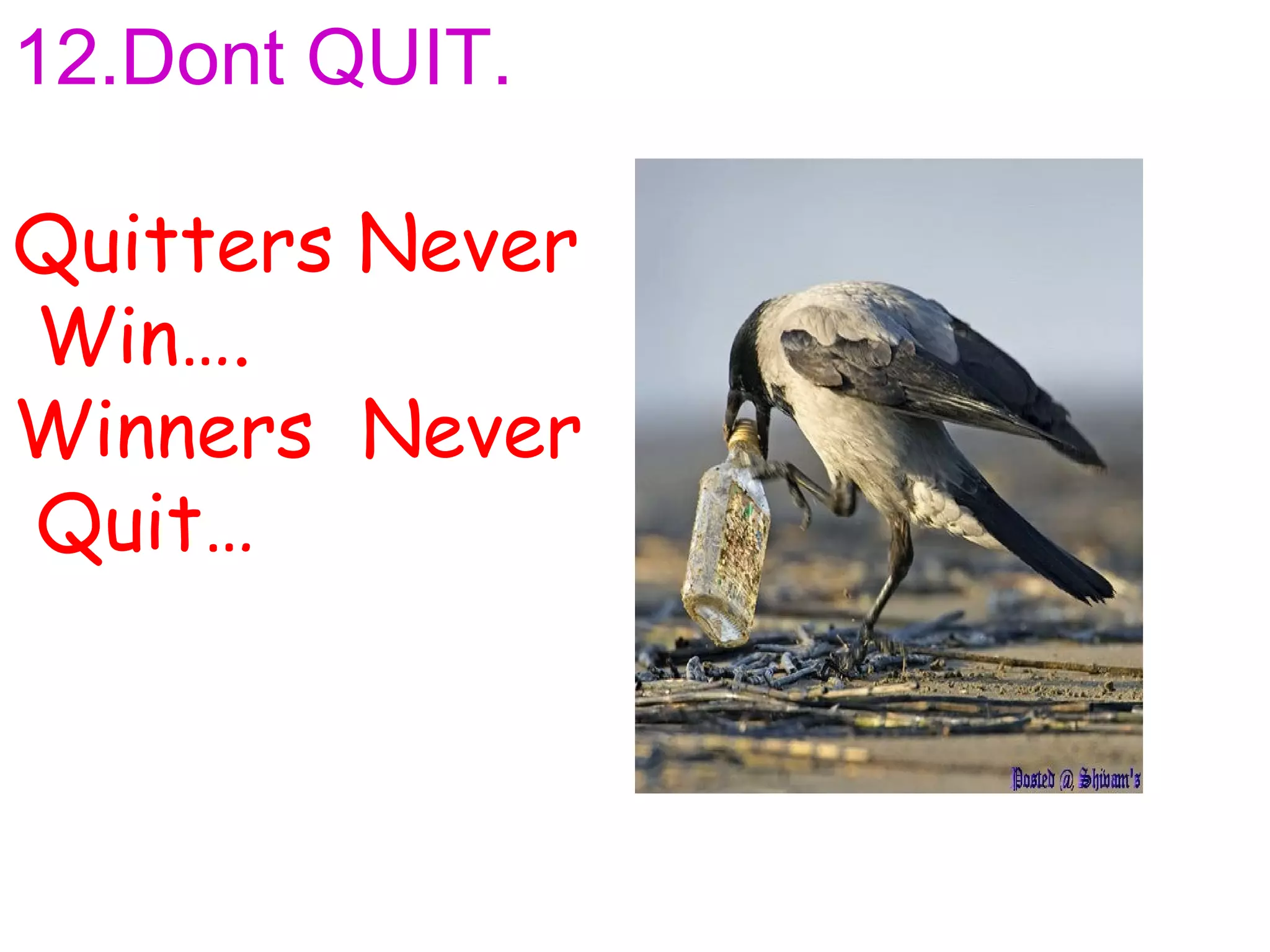 12.Dont QUIT.

Quitters Never
Win….
Winners Never
Quit…
 
