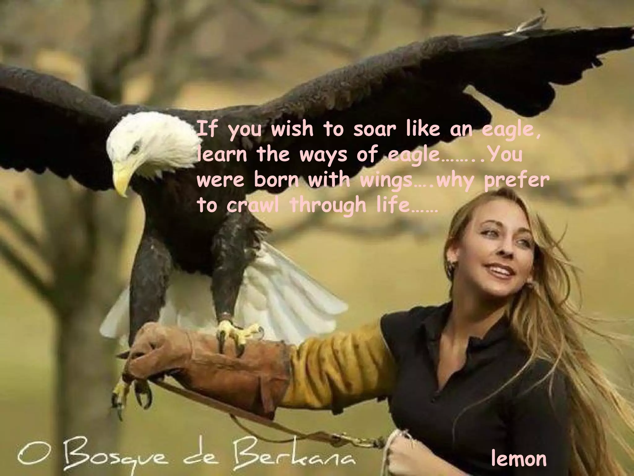 If you wish to soar like an eagle,
learn the ways of eagle……..You
were born with wings….why prefer
to crawl through life……




                            lemon
 