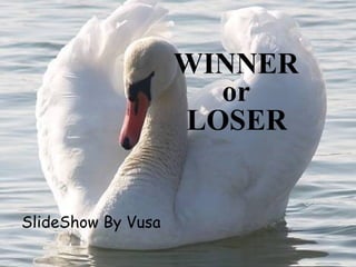 WINNER
                      or
                    LOSER


SlideShow By Vusa
 