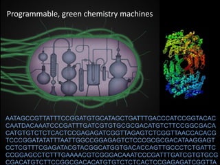 Fe
O
S
Cys
+
Fe
C
S
Cys
RR
AATAGCCGTTATTTCCGGATGTGCATAGCTGATTTGACCCATCCGGTACAC
CAATDACAAATCCCGATTTGATCGTGTGCGCGACATGTCTTCCGGCGACA
CATGTGTCTCTCACTCCGAGAGATCGGTTAGAGTCTCGGTTAACCACACG
TCCCGGATATATTTAATTGGCCGGAGAGTCTCCCGCGCGACATAAGGAGT
CCTCGTTTCGAGATACGTACGGCATGGTGACACCAGTTGCCCTCTGATTC
CCGGAGCCTCTTTGAAAACGTCGGGACAAATCCCGATTTGATCGTGTGCG
CGACATGTCTTCCGGCGACACATGTGTCTCTCACTCCGAGAGATCGGTTA
Programmable, green chemistry machines
 