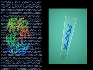 AATAGCCGTTATTTCCGGATGTGCAT
AGCTGATTTGACCCATCCGGTACAC
CAATDACAAATCCCGATTTGATCGTG
TGCGCGACATGTCTTCCGGCGACAC
ATGTGTCTCTCACTCCGAGAGATCG
GTTAGAGTCTCGGTTAACCACACGT
CCCGGATATATTTAATTGGCCGGAGA
GTCTCCCGCGCGACATAAGGAGTCC
TCGTTTCGAGATACGTACGGCATGGT
GACACCAGTTGCCCTCTGATTCCCG
GAGCCTCTTTGAAAACGTCGAGTCG
AATCGAAGTTCGAACCCCGGATCGG
GTCCACCAACTTAGAGATGTGTGTG
CGCTGACTCAGTCATTTTGACCCATC
CGGTACACCAATGGGTCGGACAAAT
CCCGATTTGATCGTGTGCGCGACAT
GTCTTCCGGCGACACATGTGTCTCT
CACTCCGAGAGATCGGTTAGAGTCT
CGGTTAACCACACGTCCCGGATATAT
TTAATTGGCCGGAGAGTCTCCAATAG
CCGTTATTTCCGGATGTGCATAGCTG
ATTTGACCCATCCGGTACACCAATGG
GTCGGACAAATCCCGATTTGATCGT
GTGCGCGACATGTCTTCCGGCGACA
CATGTGTCTCTCACTCCGAGAGATC
 