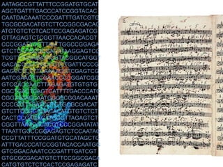 AATAGCCGTTATTTCCGGATGTGCAT
AGCTGATTTGACCCATCCGGTACAC
CAATDACAAATCCCGATTTGATCGTG
TGCGCGACATGTCTTCCGGCGACAC
ATGTGTCTCTCACTCCGAGAGATCG
GTTAGAGTCTCGGTTAACCACACGT
CCCGGATATATTTAATTGGCCGGAGA
GTCTCCCGCGCGACATAAGGAGTCC
TCGTTTCGAGATACGTACGGCATGGT
GACACCAGTTGCCCTCTGATTCCCG
GAGCCTCTTTGAAAACGTCGAGTCG
AATCGAAGTTCGAACCCCGGATCGG
GTCCACCAACTTAGAGATGTGTGTG
CGCTGACTCAGTCATTTTGACCCATC
CGGTACACCAATGGGTCGGACAAAT
CCCGATTTGATCGTGTGCGCGACAT
GTCTTCCGGCGACACATGTGTCTCT
CACTCCGAGAGATCGGTTAGAGTCT
CGGTTAACCACACGTCCCGGATATAT
TTAATTGGCCGGAGAGTCTCCAATAG
CCGTTATTTCCGGATGTGCATAGCTG
ATTTGACCCATCCGGTACACCAATGG
GTCGGACAAATCCCGATTTGATCGT
GTGCGCGACATGTCTTCCGGCGACA
CATGTGTCTCTCACTCCGAGAGATC
 