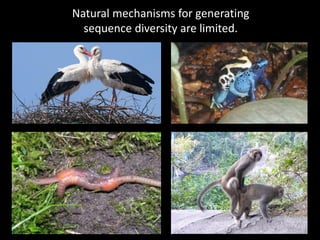 Natural mechanisms for generating
sequence diversity are limited.
 