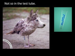 Not so in the test tube.
 